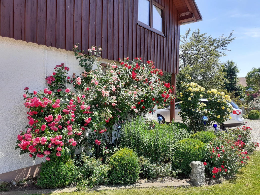 Garten_004